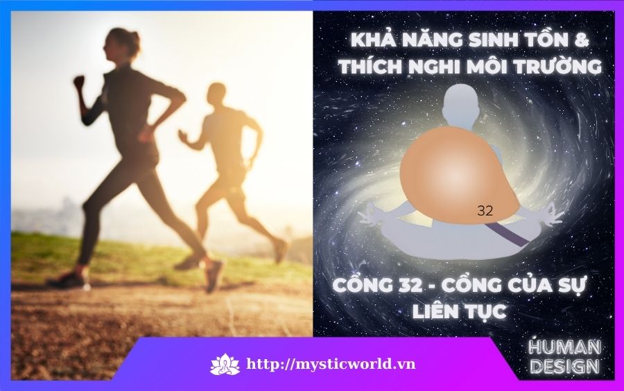 Cổng 32 trong Human Design - Cổng Của Sự Liên Tục - Khả năng sinh tồn và thích nghi