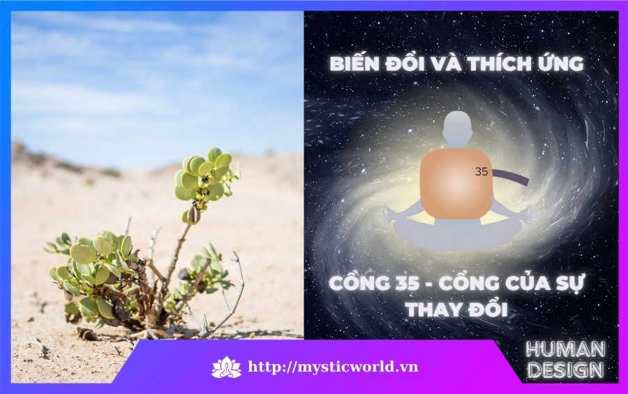 Cổng 35 trong Human Design - Cổng Của Sự Thay Đổi - Biến đổi và thích ứng