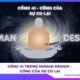 Cổng 41 trong Human Design – Cổng Sự Co Lại