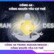 Cổng 46 trong Human Design - Cổng Người Yêu Cơ Thể