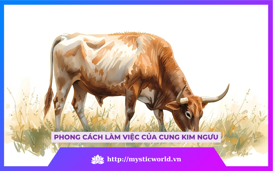 PHONG CÁCH LÀM VIỆC CỦA CUNG KIM NGƯU